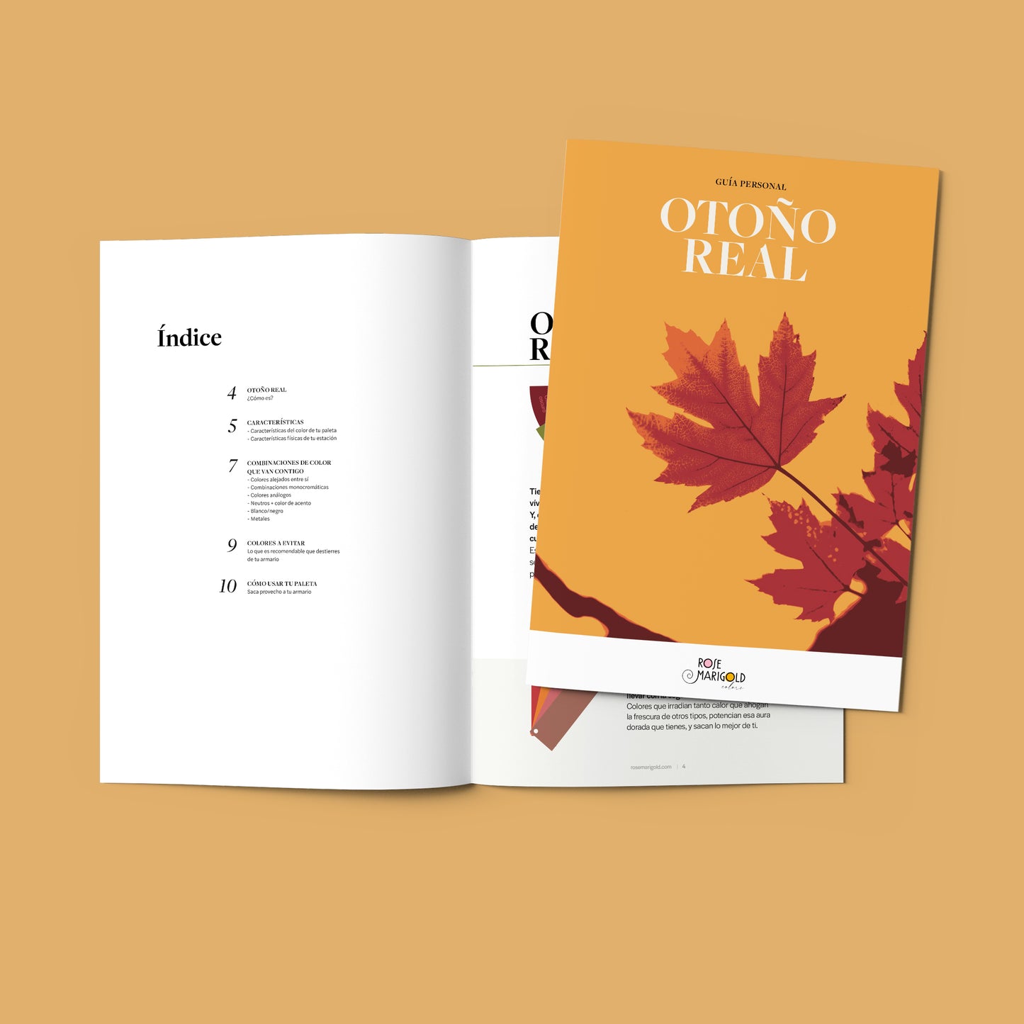 Esencial Otoño Real