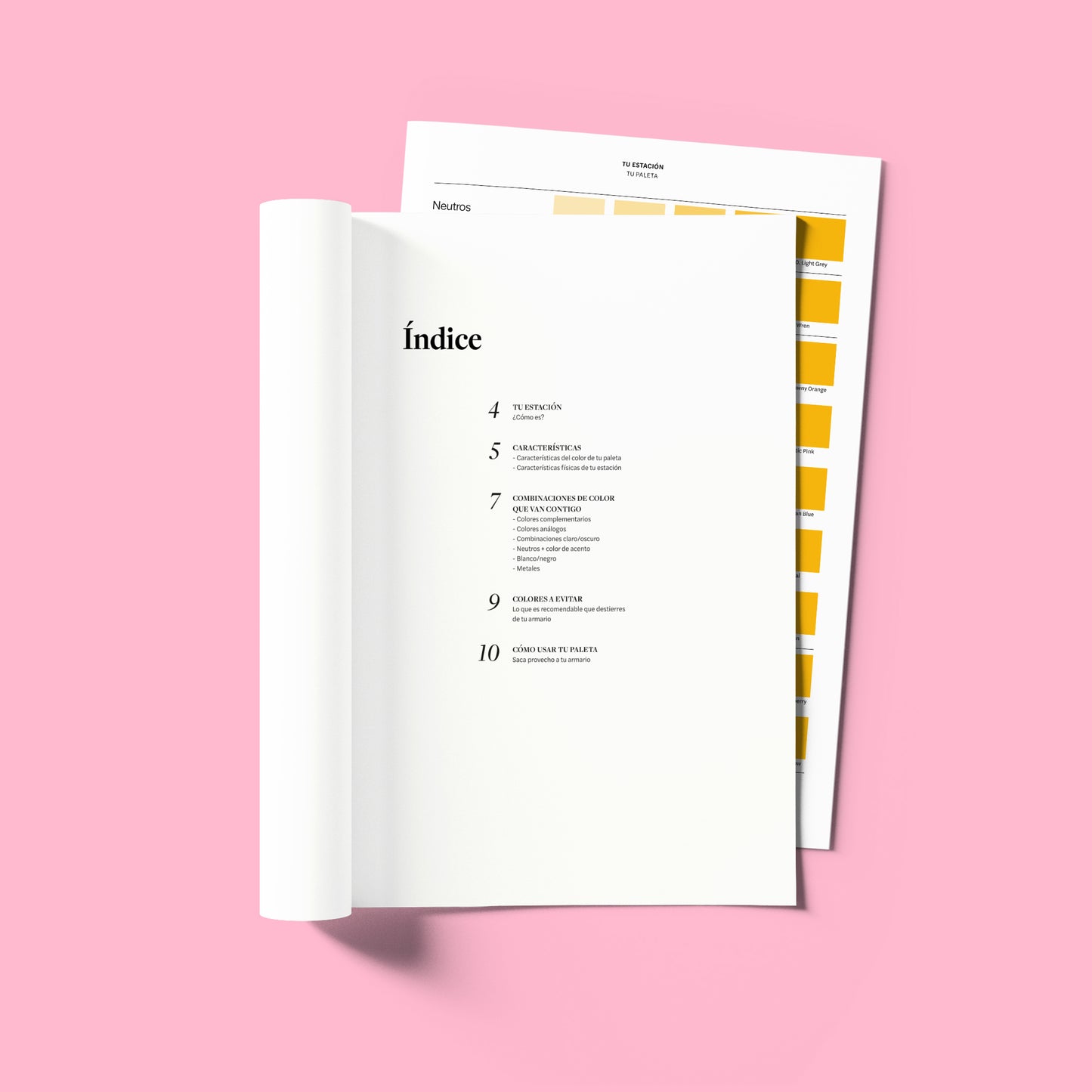 Set Premium | Rose Marigold